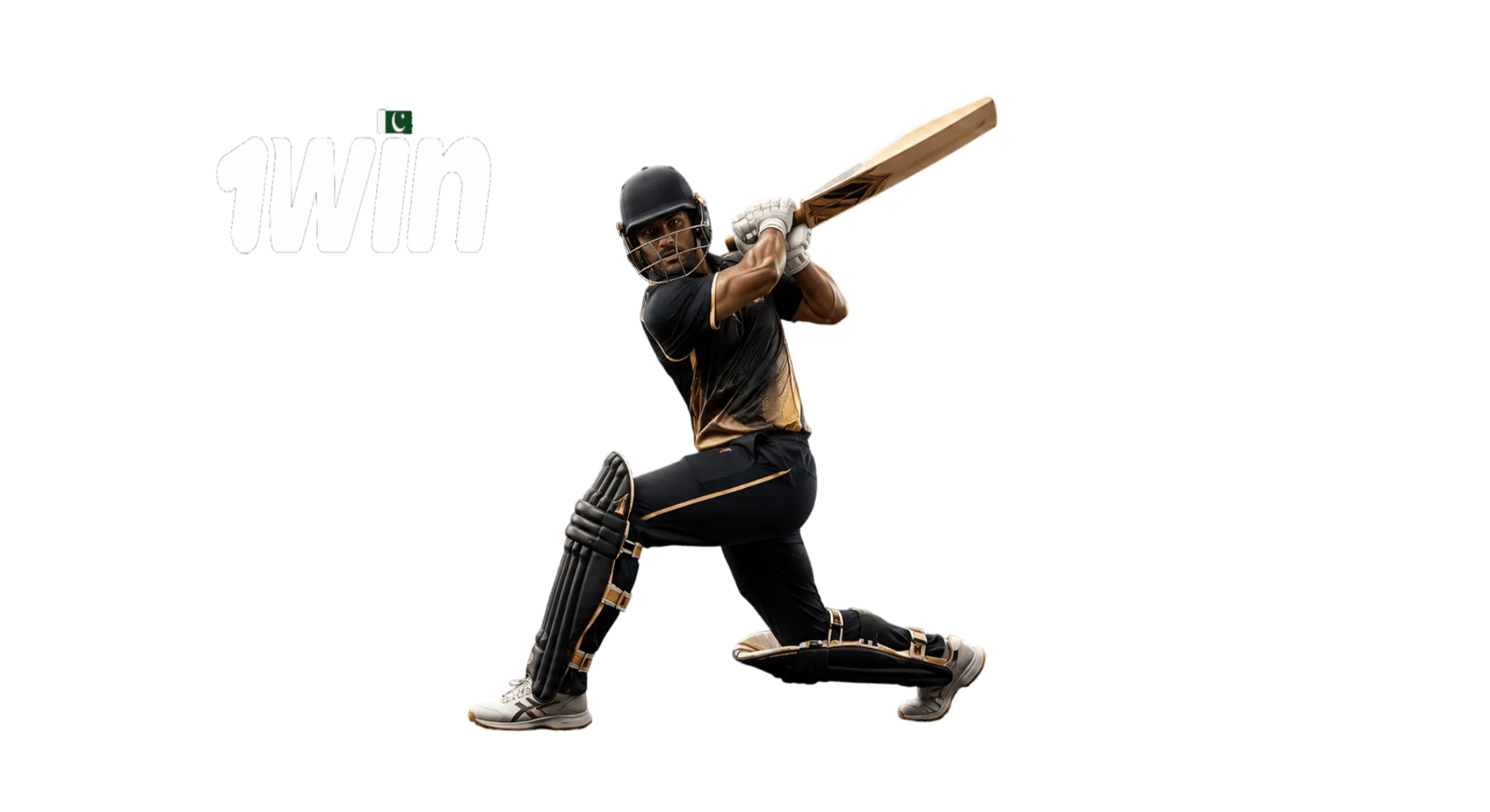 Cricket 1win